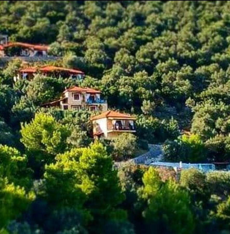 Skiathos Garden Cottages Eksteriør bilde